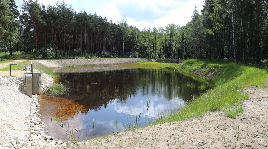 W całej Polsce, Lasy Państwowe otworzyły już 10 tys....