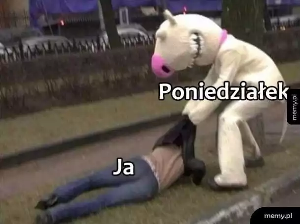 Najlepsze memy na poniedziałek