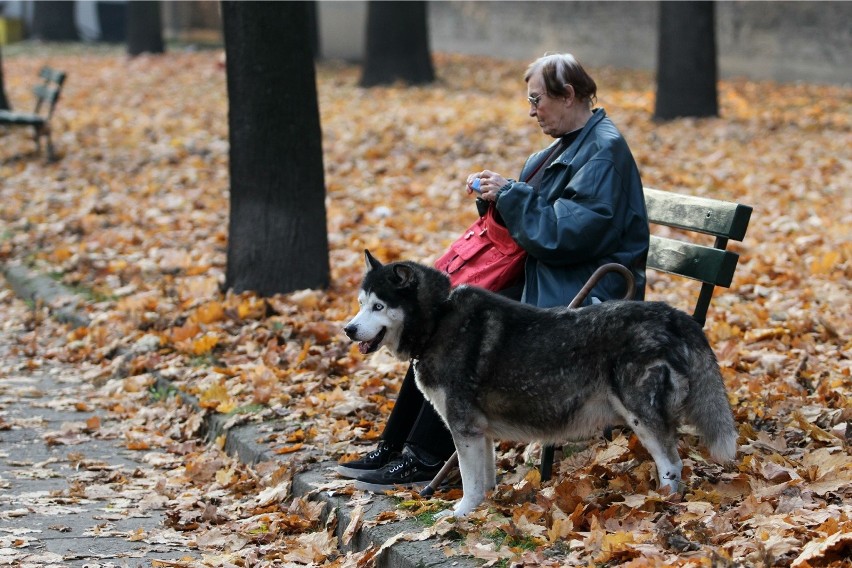 Prognoza długoterminowa na jesień. Pogoda pogody w...