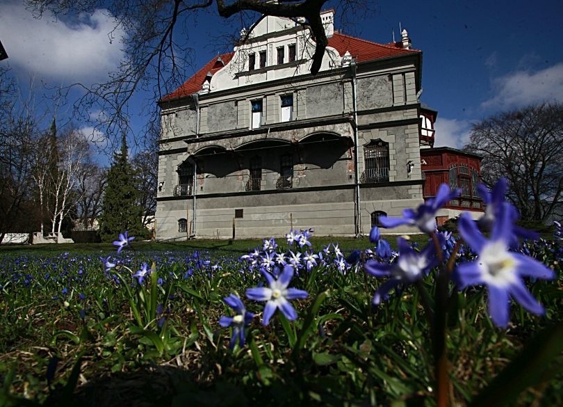 Pogoda długoterminowa. Pogoda Łódź. Cebulicami i śnieżnikami zaczęła się gorąca wiosna. W parku im. Klepacza tłumy [zdjęcia] 