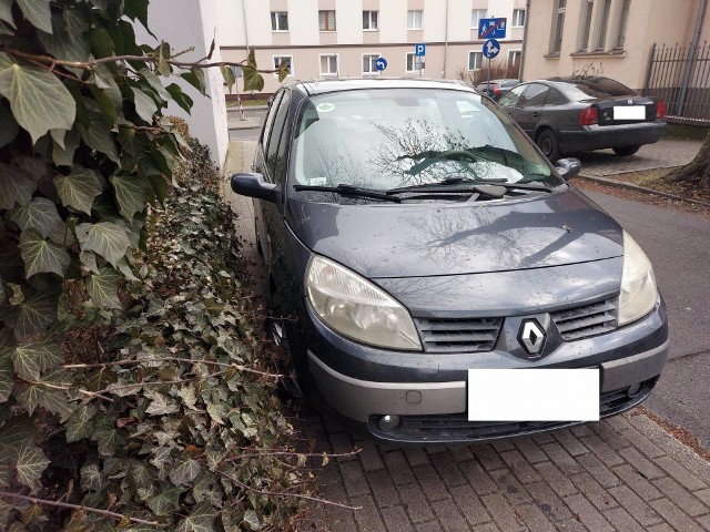 Autodrani i mistrzów parkowania w Zielonej Górze nie brakuje