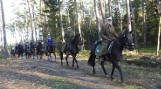 Nowy turystyczny szlak konny na Podkarpaciu. Otwarto trasę "Z konikiem polskim" w Nadleśnictwie Tuszyma [ZDJĘCIA]