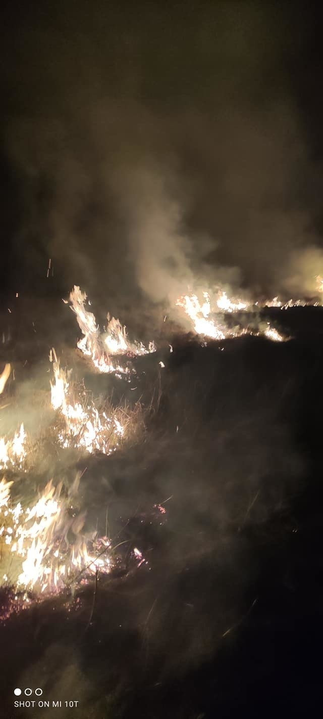 Pożary traw wciąż nękają powiat konecki. Gdzie najwięcej? Zobacz zdjęcia ze strażackich akcji 