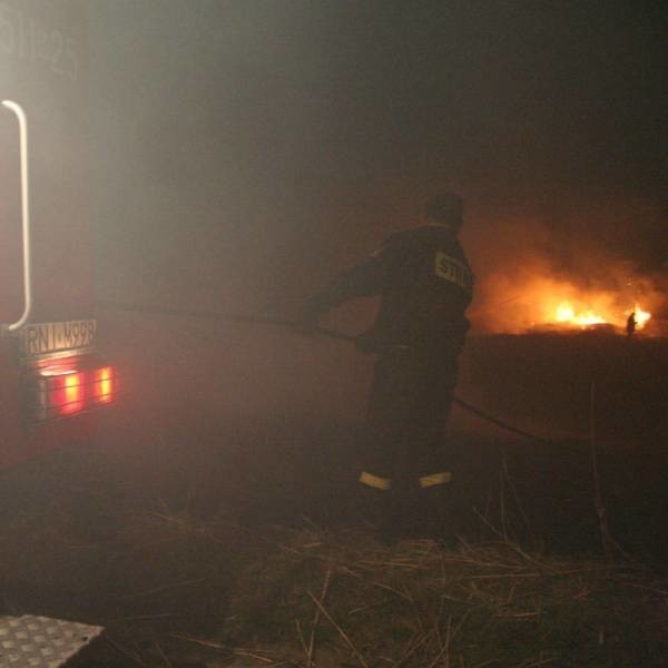 Ponad 20 hektarów łąk spłonęło w ciągu ostatnich dni w Nisku, nieopodal Sanu.
