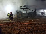 Pożar stajni: W Najdziszowie spłonęła stajnia i koń ZDJĘCIA + WIDEO Strażacy walczyli z ogniem przez wiele godzin