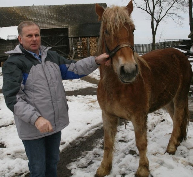 Pasją Stanisława Garbacza, burmistrza Gminy i Miasta Ulanów są konie. Na zdjęciu z dwuletnim koniem Bogoria, który należy do jego syn Szymona.