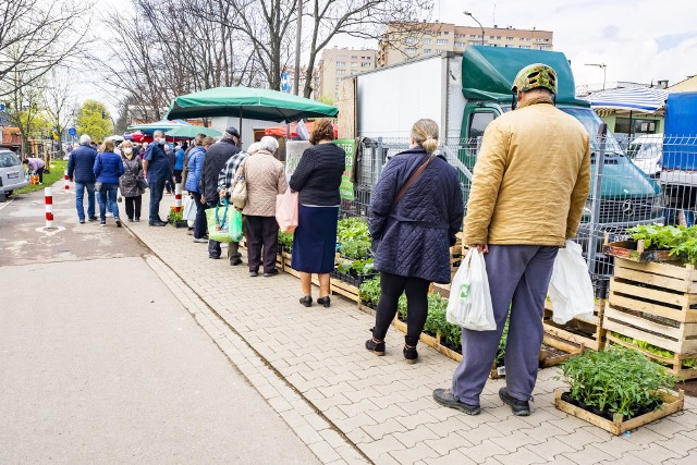 Stoiska z sadzonkami warzyw i kwiatów są oblegane przez amatorów ogrodnictwa