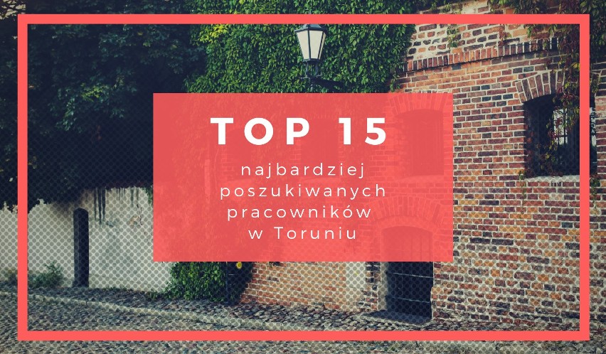 TOP 15 najbardziej poszukiwanych pracowników. Praca w Toruniu [ZDJĘCIA] 