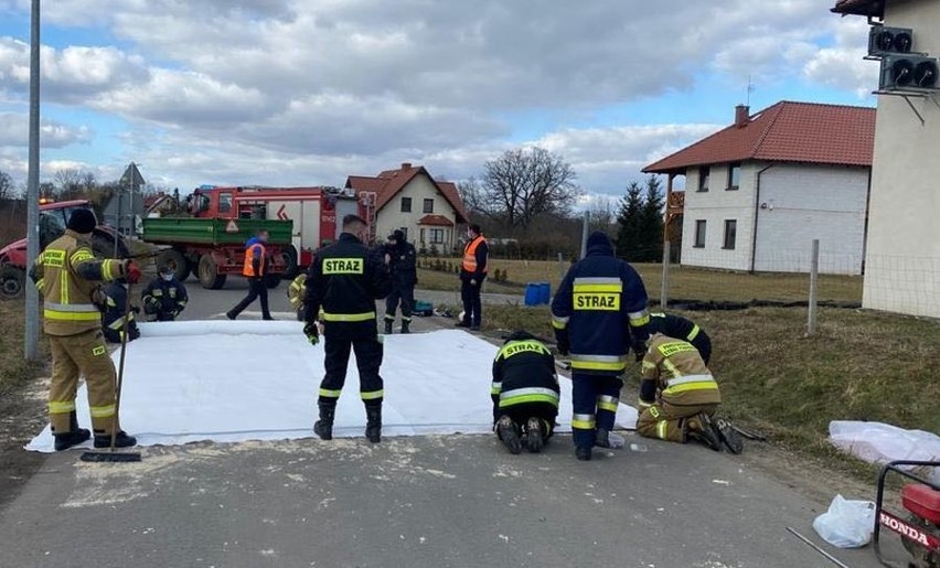 Ptasia grypa pod Wrocławiem. Kilkadziesiąt wsi na zagrożonym terenie