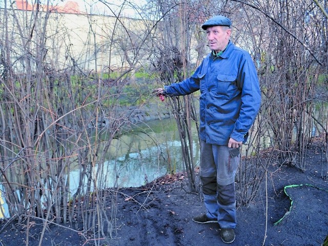 - Tu go znaleźliśmy. Pływał z twarzą w wodzie - opowiada Andrzej Szczepański, pracownik Ogrodu Botanicznego.