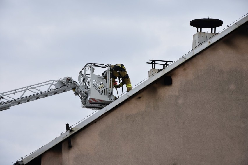 Pożar chlewni w Perzynach. Ogień gasi 10 zastępów straży...