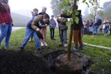 Z okazji Światowego Dnia Drzewa w Toruniu posadzono klony