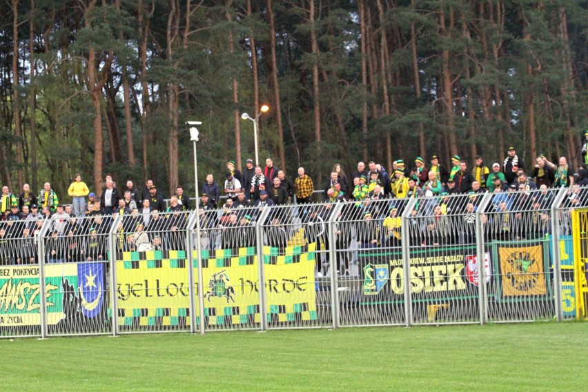 Kibice Siarki Tarnobrzeg na Wielkich Derbach Podkarpacia w Stalowej Woli (ZDJĘCIA)