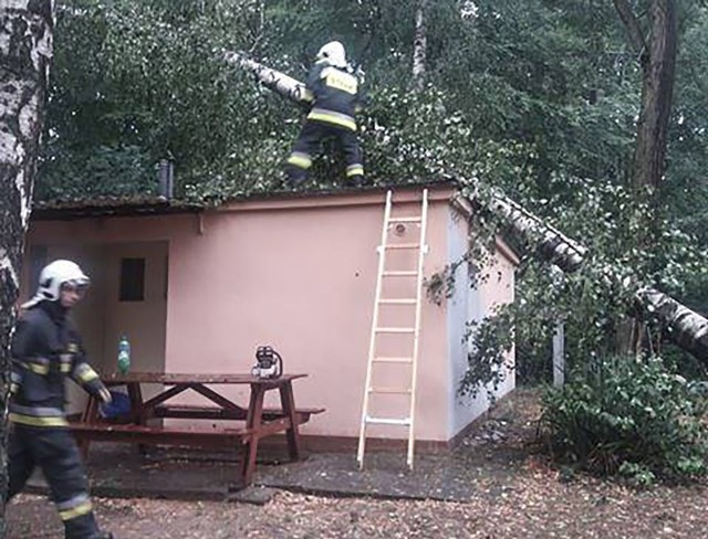 W środę, 8 sierpnia, strażacy OSP Kargowa wyjeżdżali usuwać skutki burzy, która przeszła w okolicy Kargowej.Najpierw OSP Kargowa jechała usuwać drzewa powalone przez wiatr na drodze z Sulechowa do Kargowej. Potem usuwali drzewa w miejscowości  Leśniki. Jechali też na teren ośrodka wypoczynkowego Liny. Tam drzewo spadło na jeden z domków letniskowych.Zobacz też wideo: Rekord temperatury w Gorzowie Wielkopolskim. Termometry wskazywały 35,4 st. Celsjusza