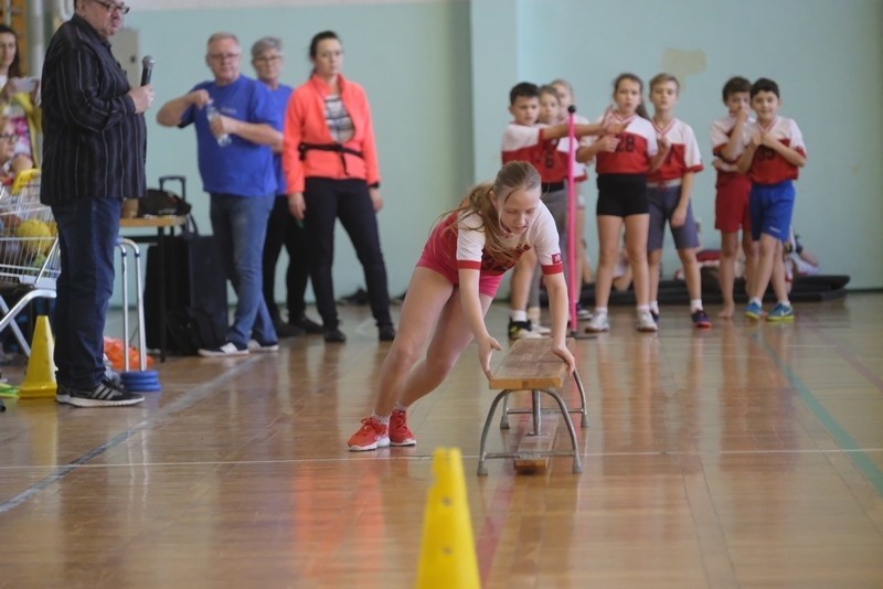 Sprawny Miś w Toruniu. Znamy pierwszego finalistę w Toruniu!...