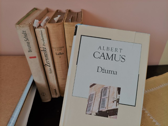Na liście maturalnych lektur obowiązkowych znajduje się "Dżuma" Alberta Camusa. Oto najważniejsze informacje o utworze.