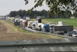 Wypadek na A4 pod Legnicą. Autostrada zablokowana w kierunku granicy
