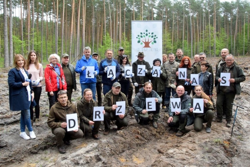W Nadleśnictwie Daleszyce sadzono las. Kilkadziesiąt osób wzięło udział w akcji [ZDJĘCIA, WIDEO]