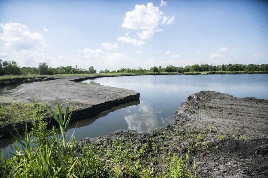 Bomba ekologiczna tyka w Krakowie. Wspólne śledztwo „Krakowskiej” i RMF Maxxx