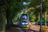 Nowe miejsca pracy czekają! Tramwaje Szczecińskie organizują nabór na darmowy kurs motorniczego.