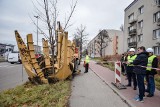 Częstochowa. Miejski Zarząd Dróg rozpoczął proces przesadzania drzew przy DK 1