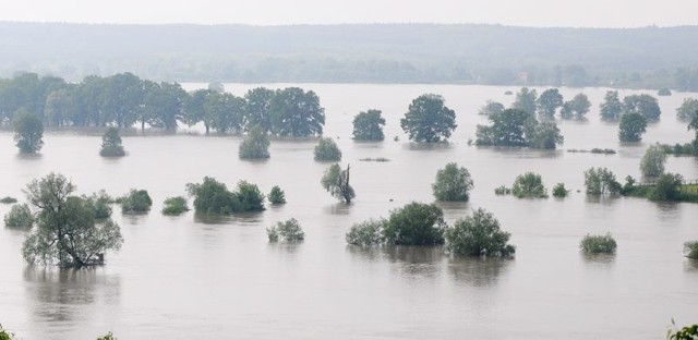 Panorama zalanych okolic Krosna Odrzańskiego.