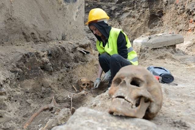 W wykopie na skwerze przed magistratem archeolodzy starają się znaleźć odpowiedź, czy odkopane fragmenty fundamentów należą do kościoła św. Krzyża, czy też są resztką po dobudowanym do świątyni budynku. Podczas badań zbierają również kości z przykościelne