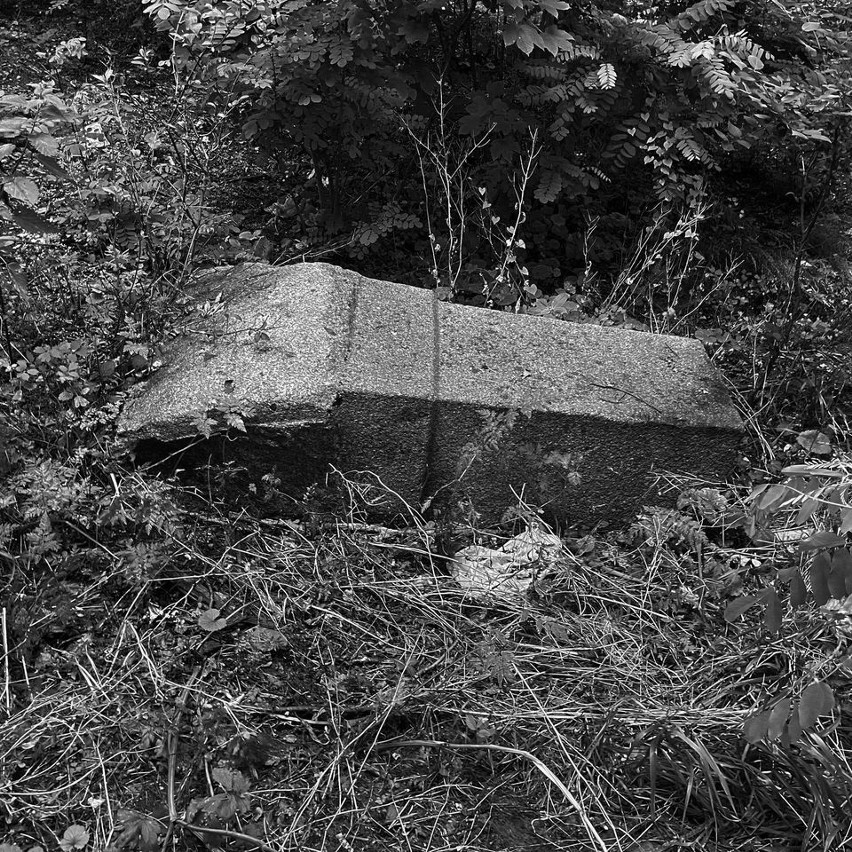Tajemniczy monument w lesie na prawobrzeżu Szczecina. Co to jest? Miłośnicy historii mają dwie hipotezy