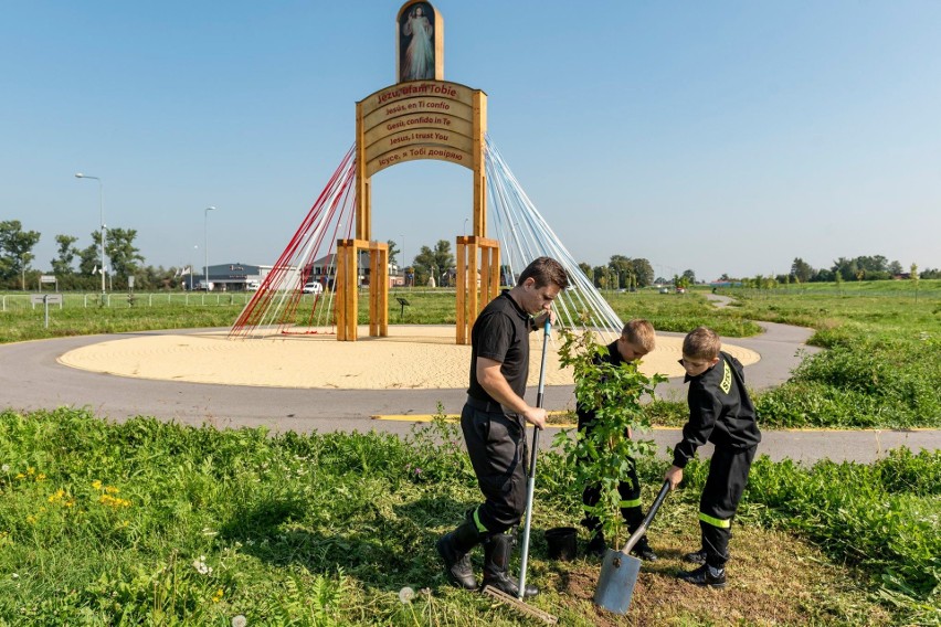 Brzegi – Wieliczka. W Kampusie Miłosierdzia zasadzono 80 drzew pokoju [ZDJĘCIA]