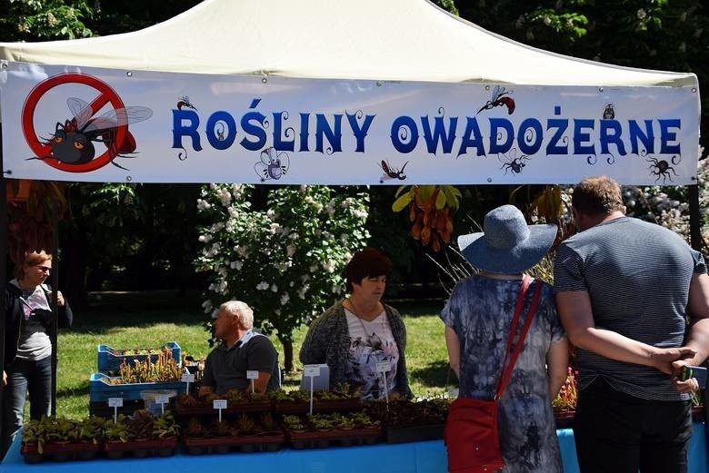 Już w weekend warto odwiedzić Jarmark Ogrodniczy Kresowy...