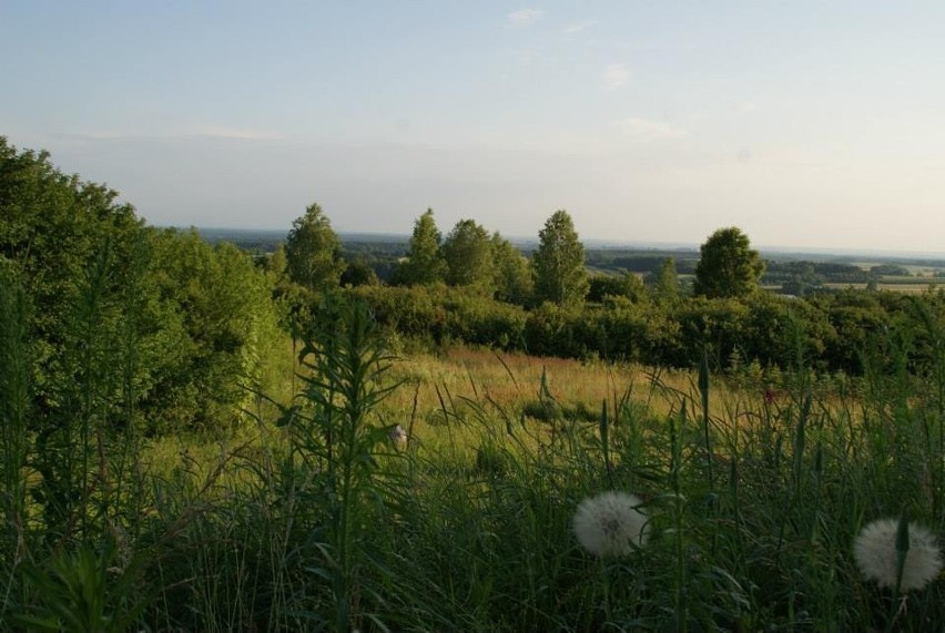 A oto krajobrazy, które można oglądać w miejscowości Kików....