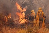 Fala pożarów wciąż nęka Portugalię. Jak na razie strażacy nie są w stanie opanować żywiołu