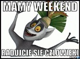 Memy o weekendzie. Zobacz najlepsze memy na początek weekendu i wyczekiwany piątek [śmieszne obrazki, demotywatory] 15.03.2019