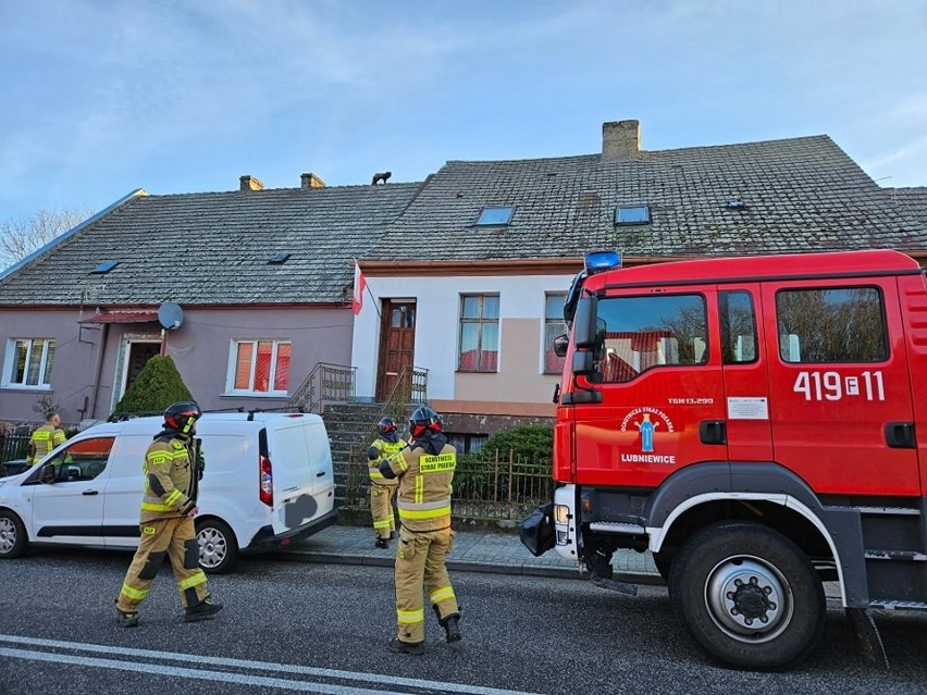 Strażakom udało się ściągnąć lisa z dachu