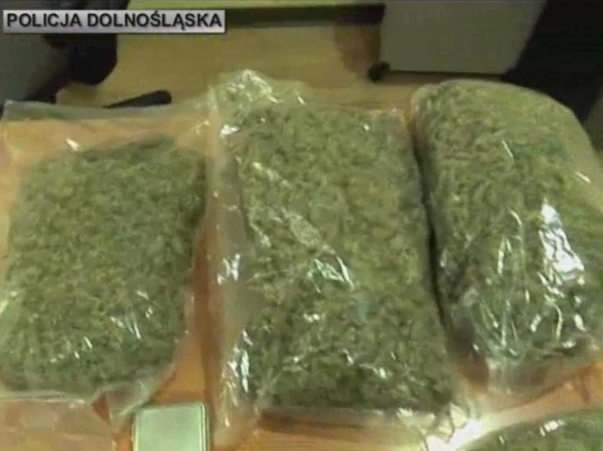 Narkotykowy magazyn na Krzykach. Policja znalazła 120 tys. porcji amfetaminy i marihuany! (FILM)