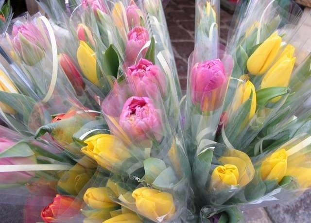 Raport Dzień kobietRaport - Dzień kobiet - najpopularnijsze kwiaty to ciągle tulipany i goździki.