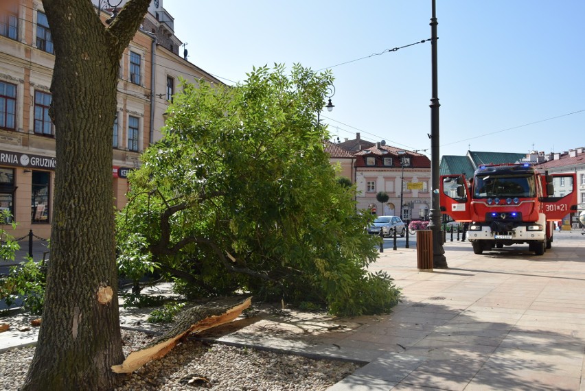 Lublin: Złamane drzewo leży na drodze. Utrudnienia w ruchu obok Bramy Krakowskiej