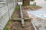 Stare krzyże nie wrócą na swoje miejsce przy ulicy Nowowarszawskiej. Były rówieśnikami niepodległości Białegostoku