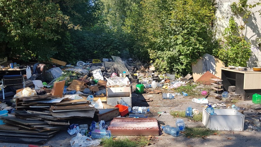Tony śmieci znajdują się na dzikich wysypiskach w Sosnowcu....