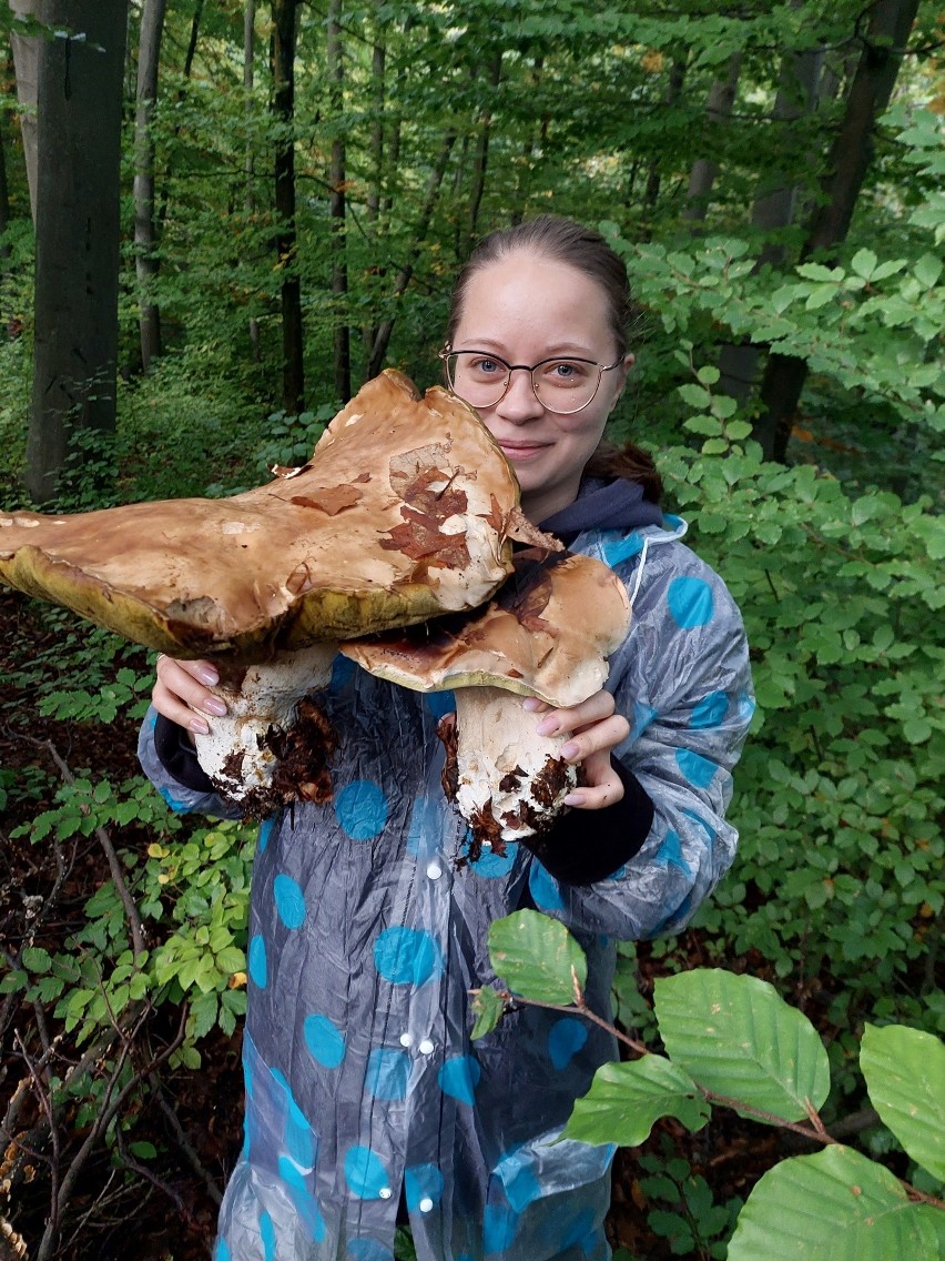 Ważący 1,8 kg borowik znaleziony w Dylągówce.