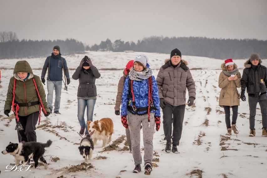 Psi spacer na Pustyni Błędowskiej z mikołajkowymi akcentami