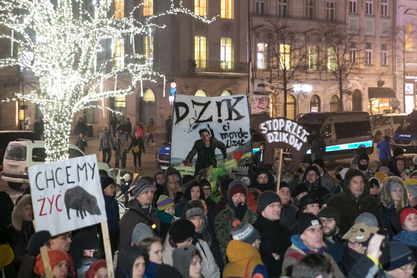 Dziki protest w obronie dzików w Krakowie. "Dzik czuje, tak jak kot prezesa", "Strzel se w łeb" [ZDJĘCIA]