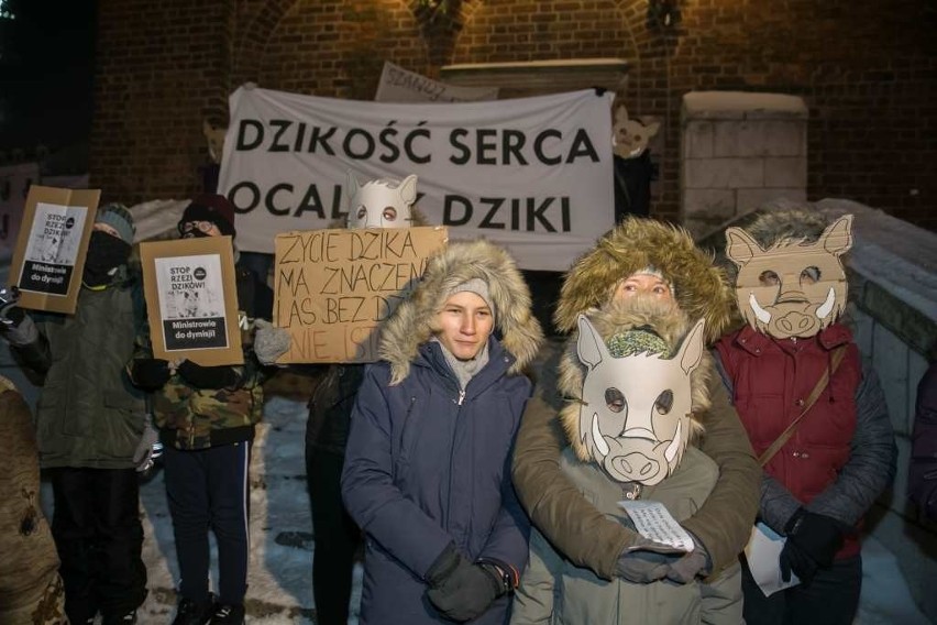 Kraków. "Dziki" na Rynku Głównym? To protest przeciwko masowym polowaniom [ZDJĘCIA]