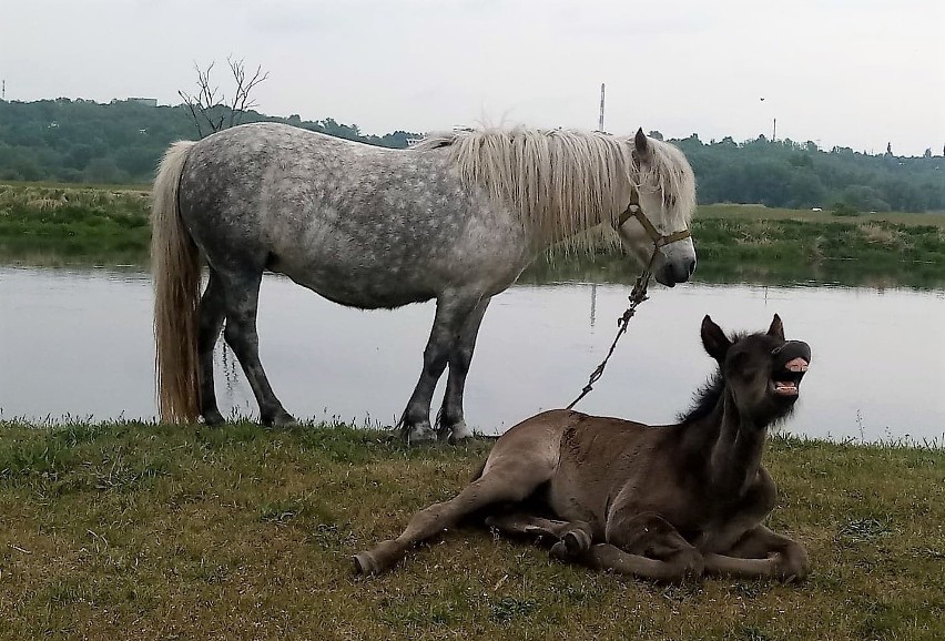 Bo gdzie jeszcze w naszym mieście - ba! czy w ogóle w...