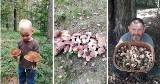Śląsk. Wrześniowy wysyp grzybów. Zdjęcia naszych internautów potwierdziły prawdziwy wysyp! Ale okazy!