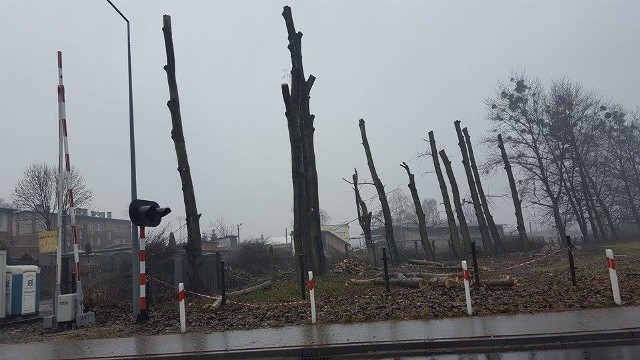 Łyso się robi w okolicach ulicy Małachowskiego - żali się rybniczanin