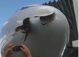 W samolot wbił się ptak! Airbus lądował z ptakiem wbitym w dziób samolotu! [FILM]
