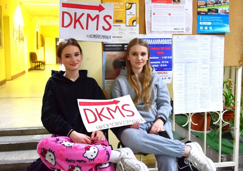 Uczniowie tarnobrzeskiego "Rolnika" pomagają chorym na białaczkę. Szkoła przeprowadziła akcję rejestracji dawców szpiku