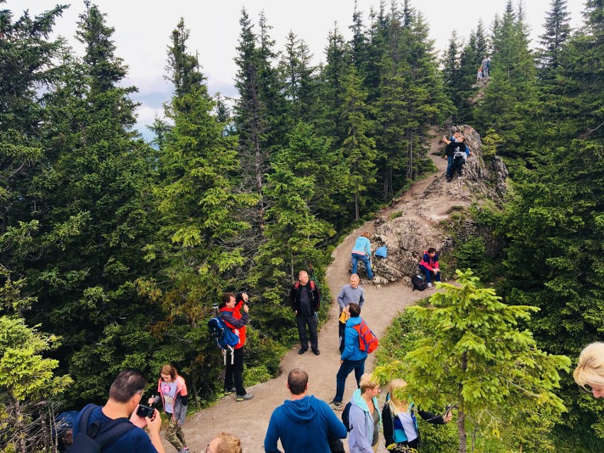 Tatry. Turystów na górskich szlakach jest sporo, ale tłumów (na szczęście) nie spotkamy