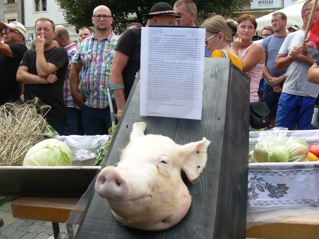 Protestujący rolnicy na spotkanie z premierem przynieśli na Rynek  w Sandomierzu czarną trumną, na wieku której był świński ryj.